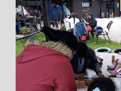 Actividad de la fundación